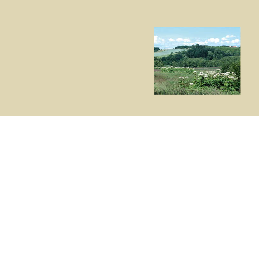 991094_0041.png