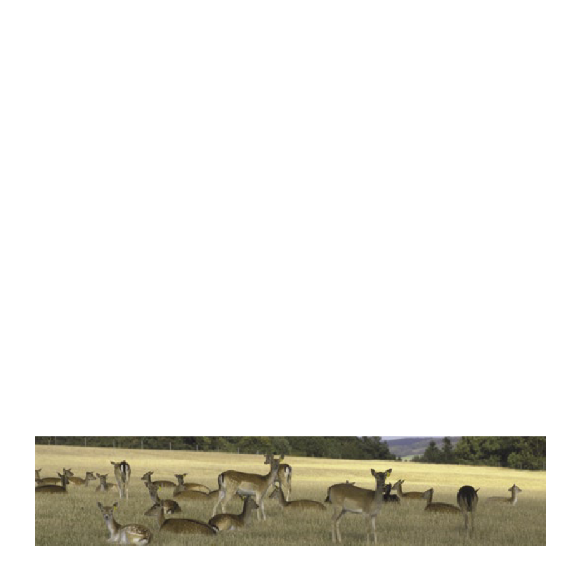 1015750_0014.png