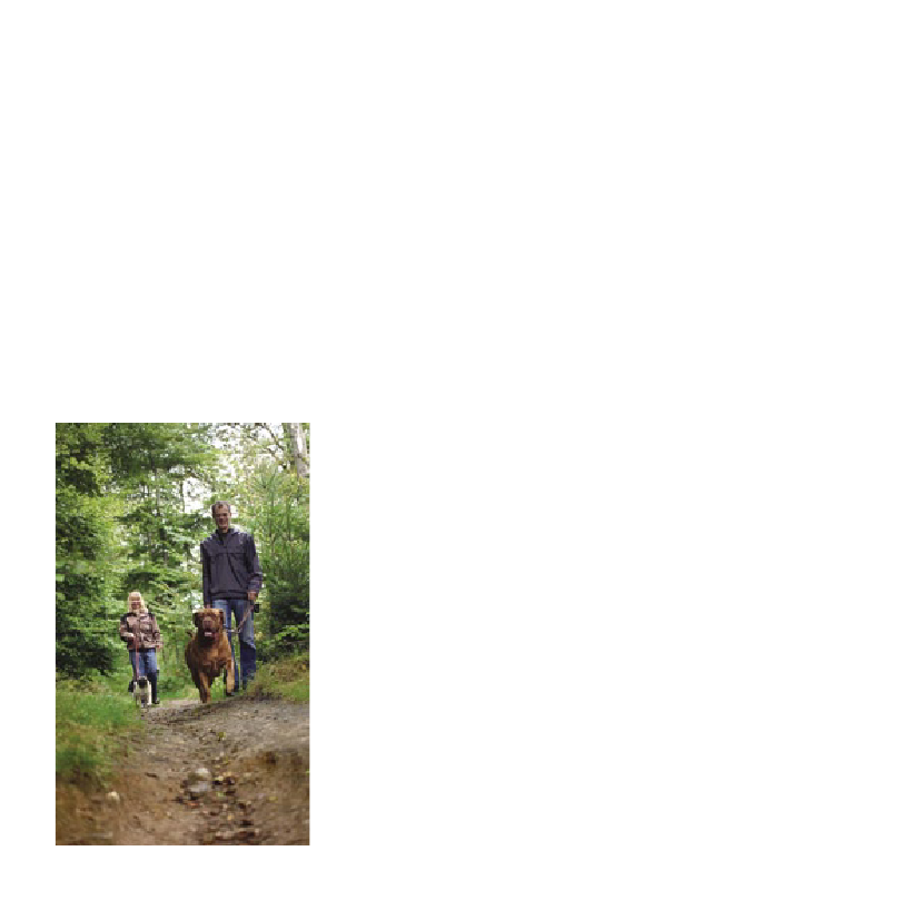 1015750_0028.png