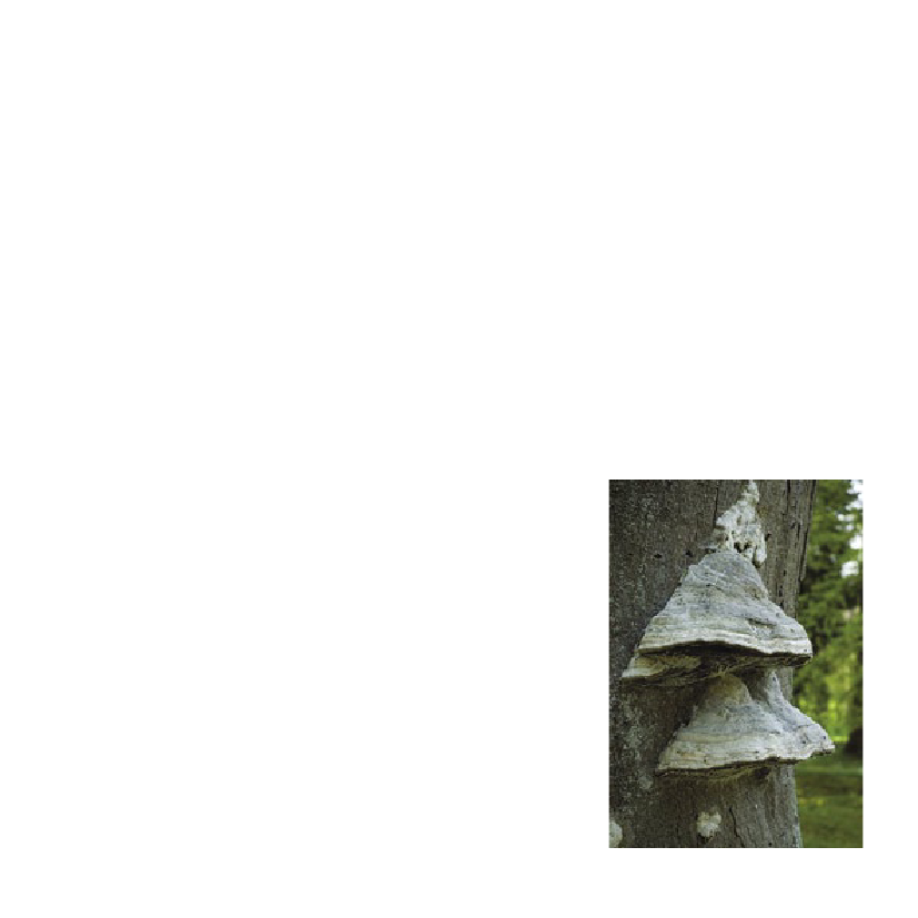 1015750_0034.png