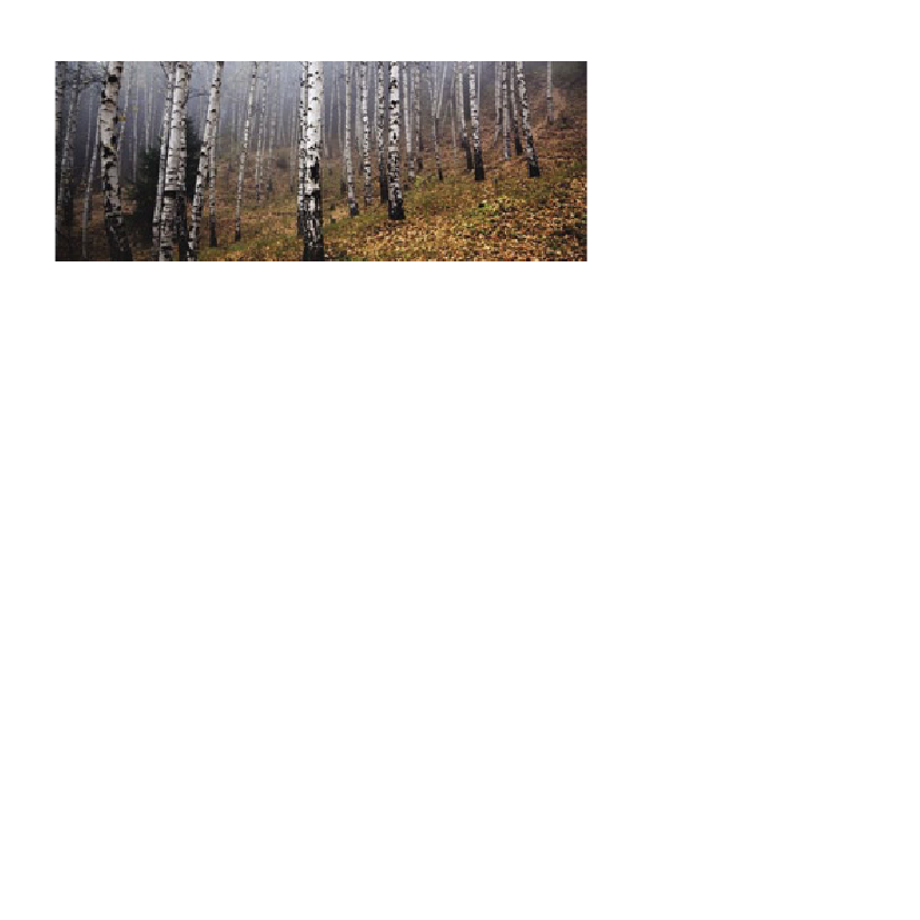 1015750_0036.png