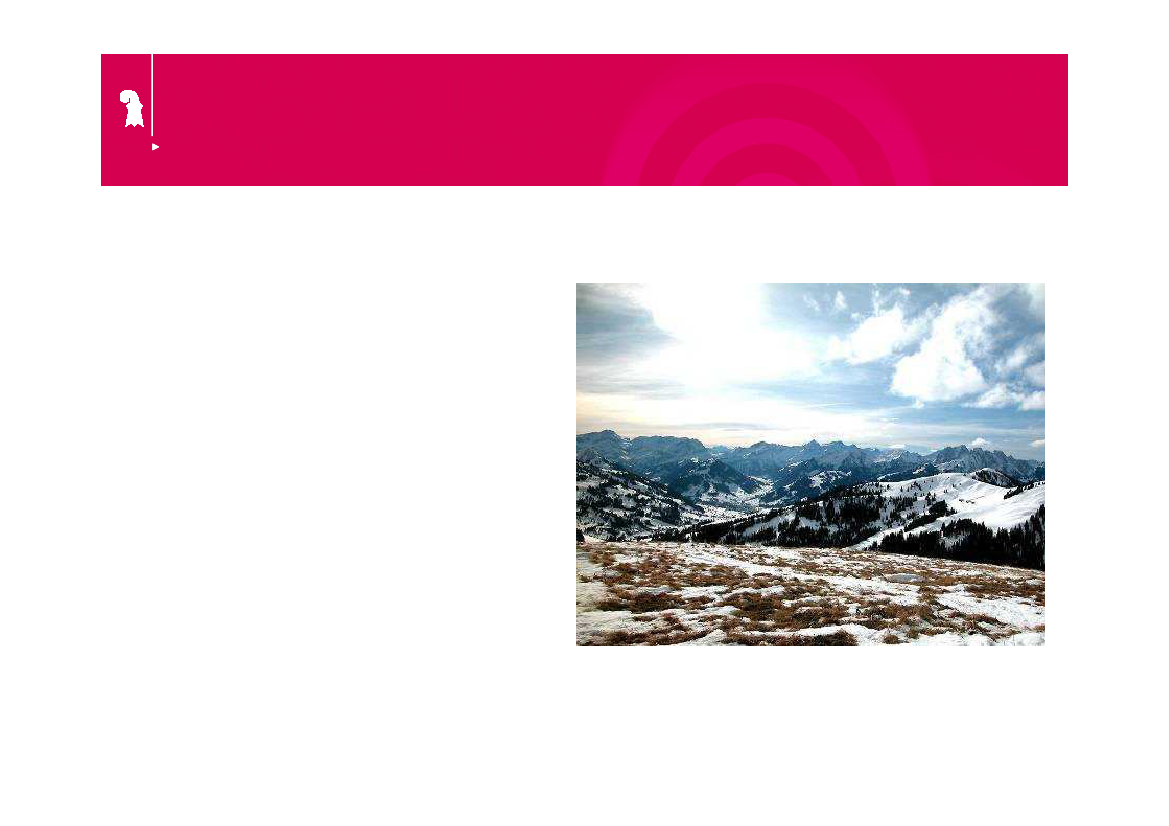 1015922_0003.png