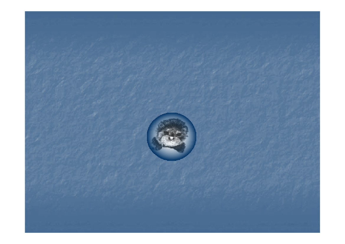 1026913_0001.png