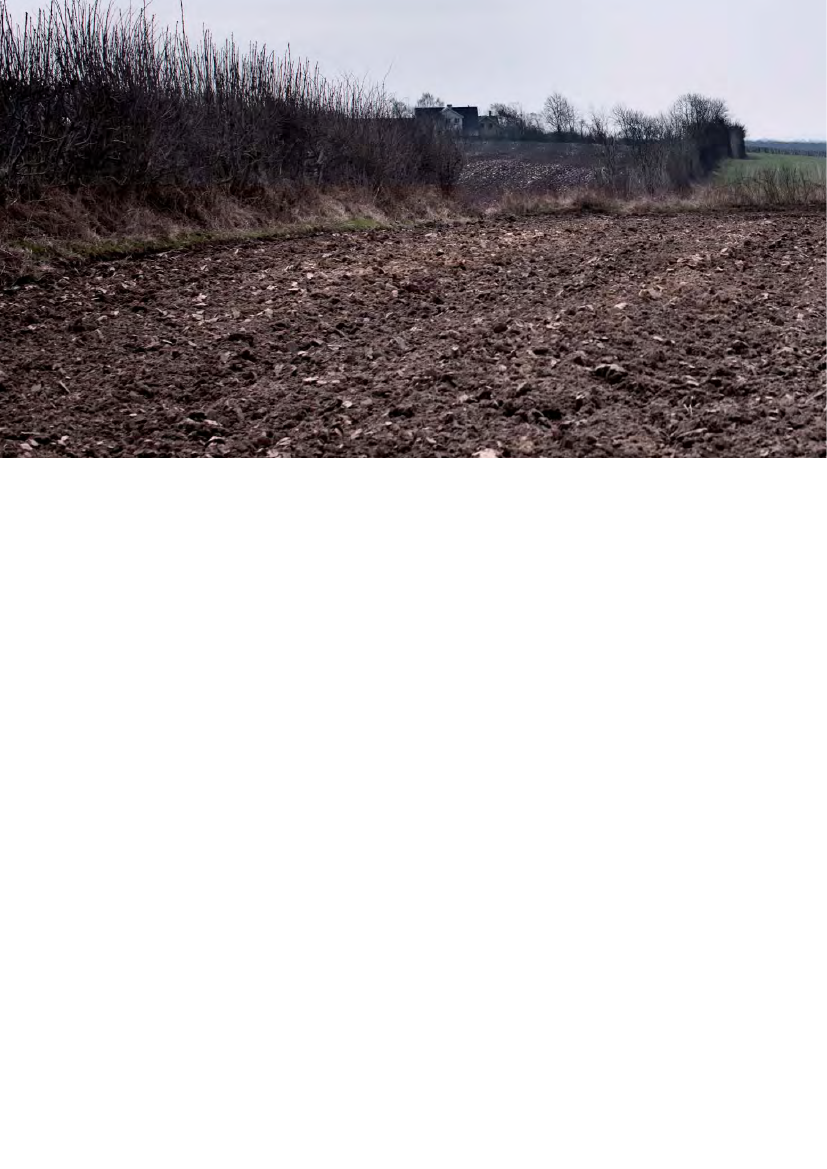 1031364_0038.png