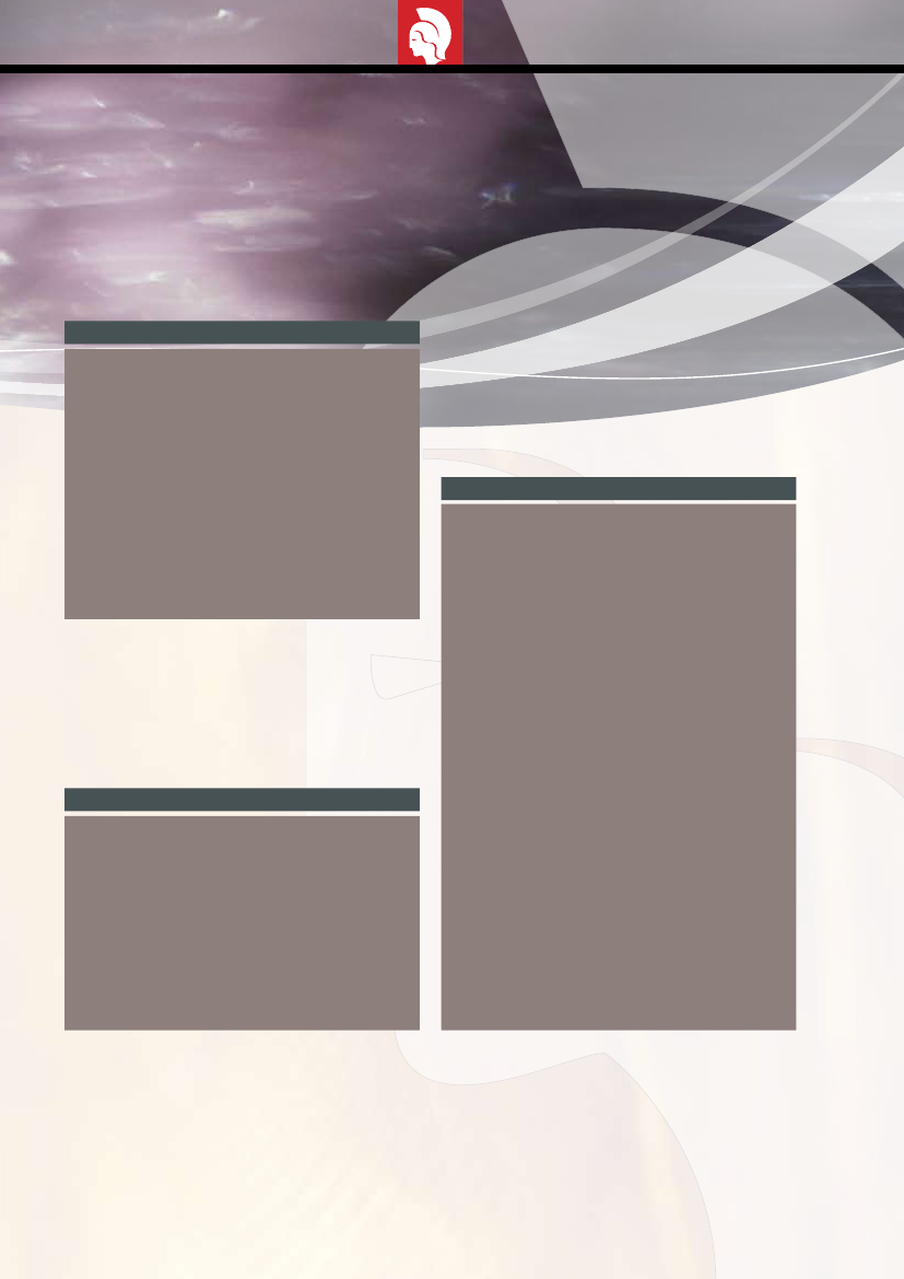 1032505_0019.png