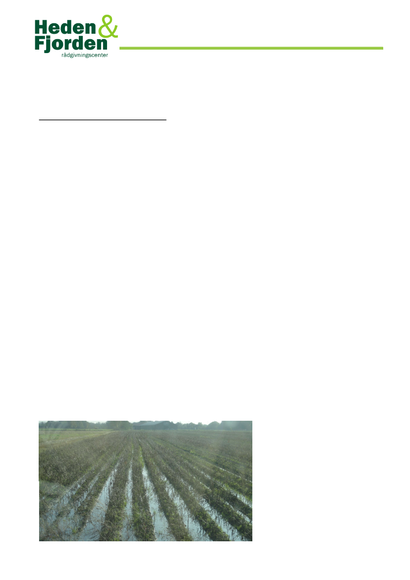 1033635_0001.png