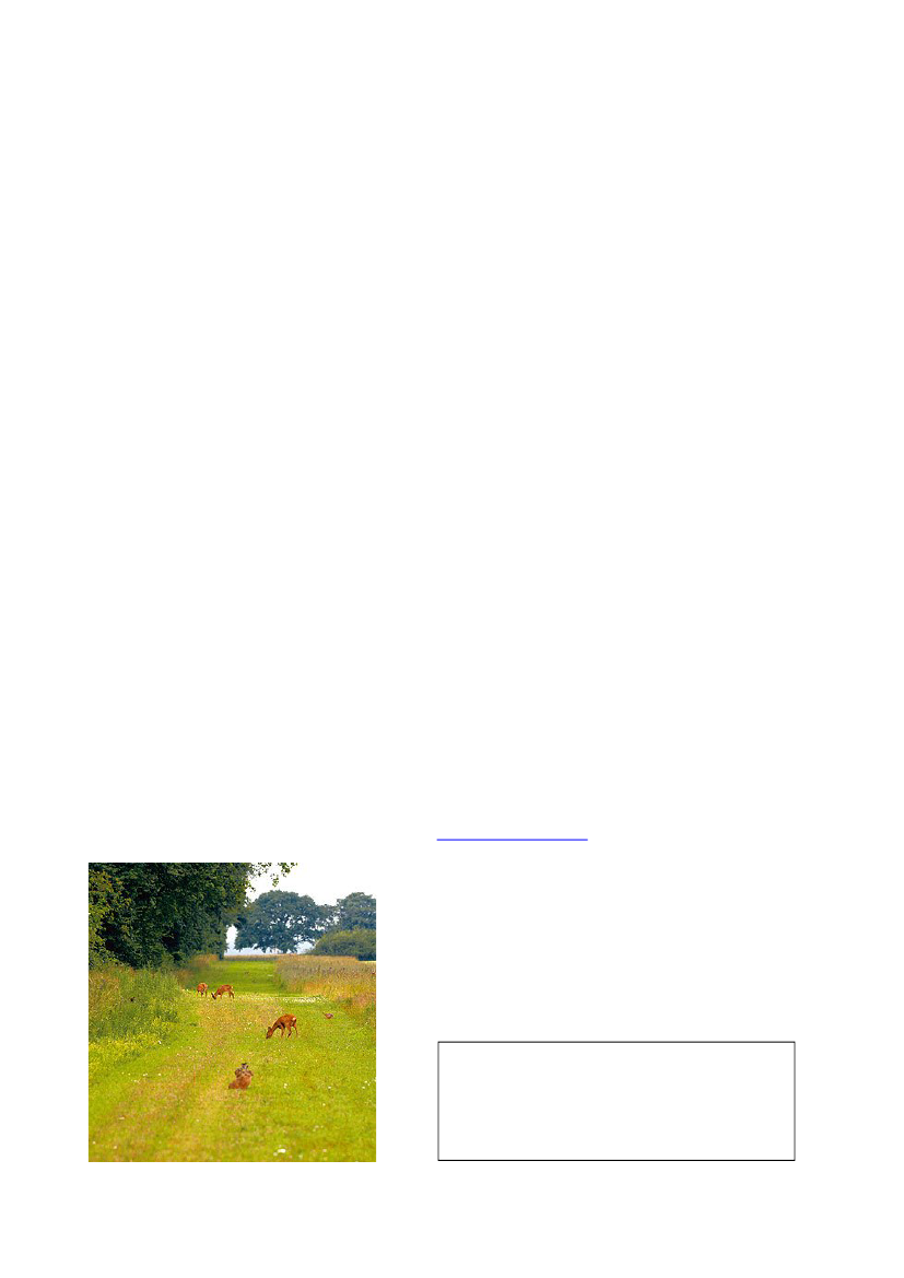 1037690_0001.png