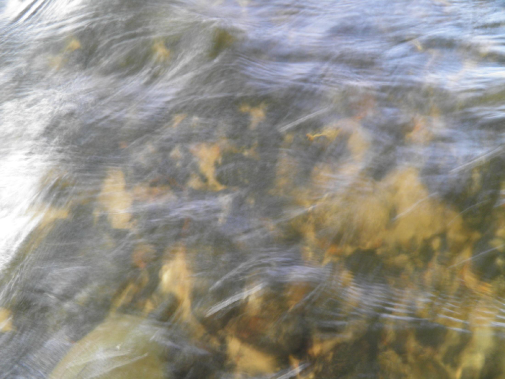1041026_0043.png