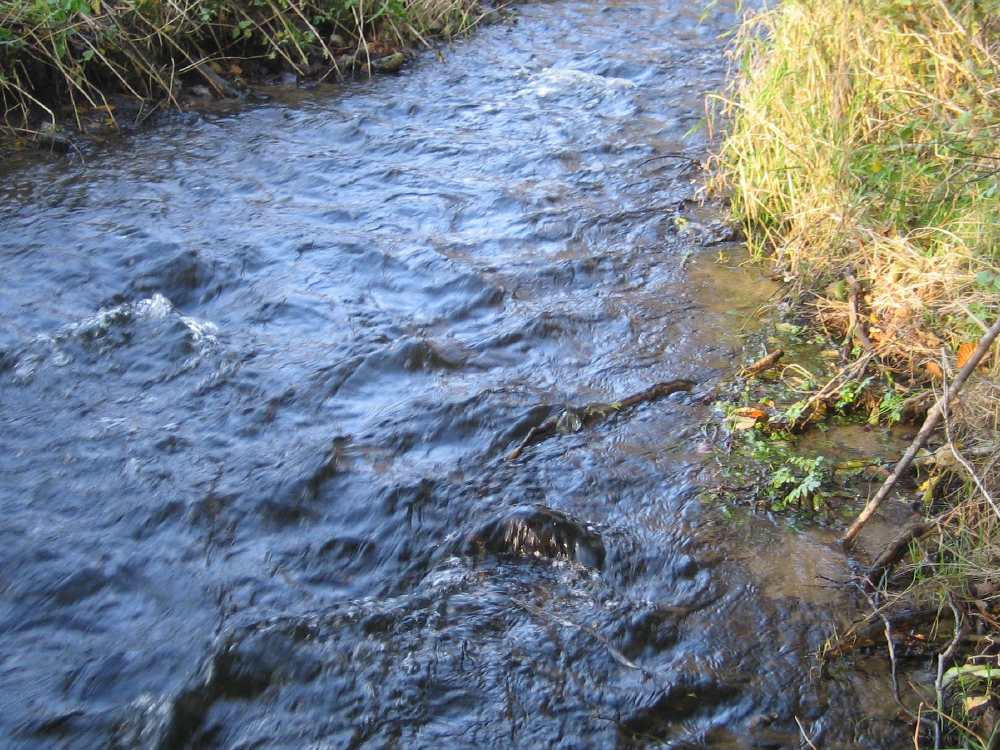 1041026_0084.png