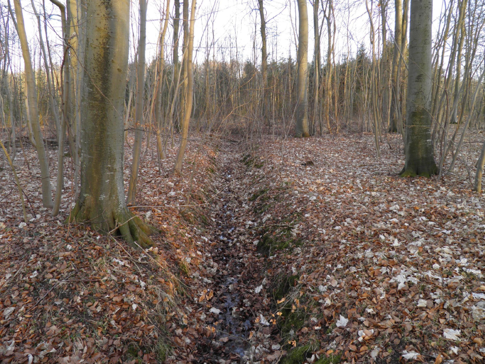 1041026_0101.png
