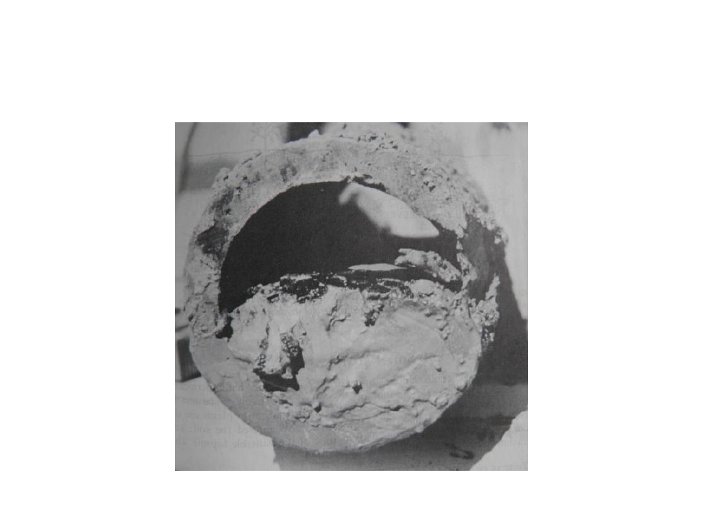 1041026_0129.png
