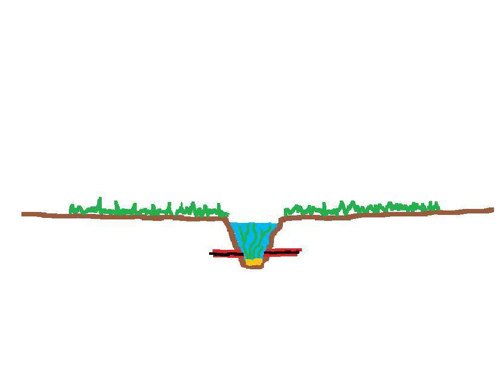 1041026_0150.png