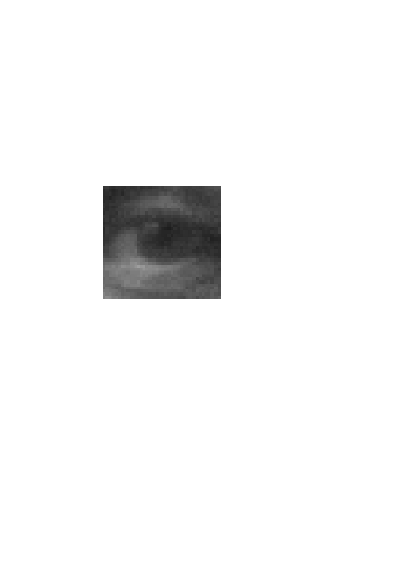 1049071_0544.png