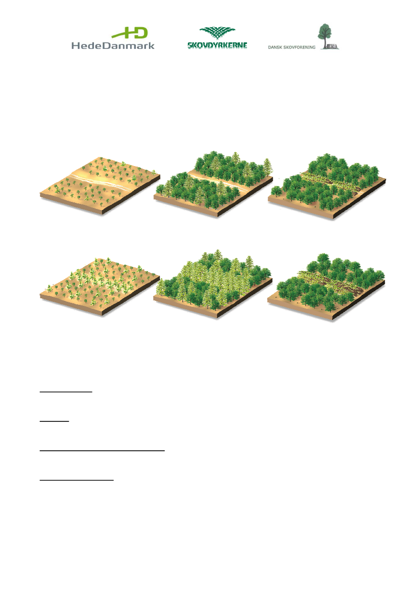1049298_0002.png