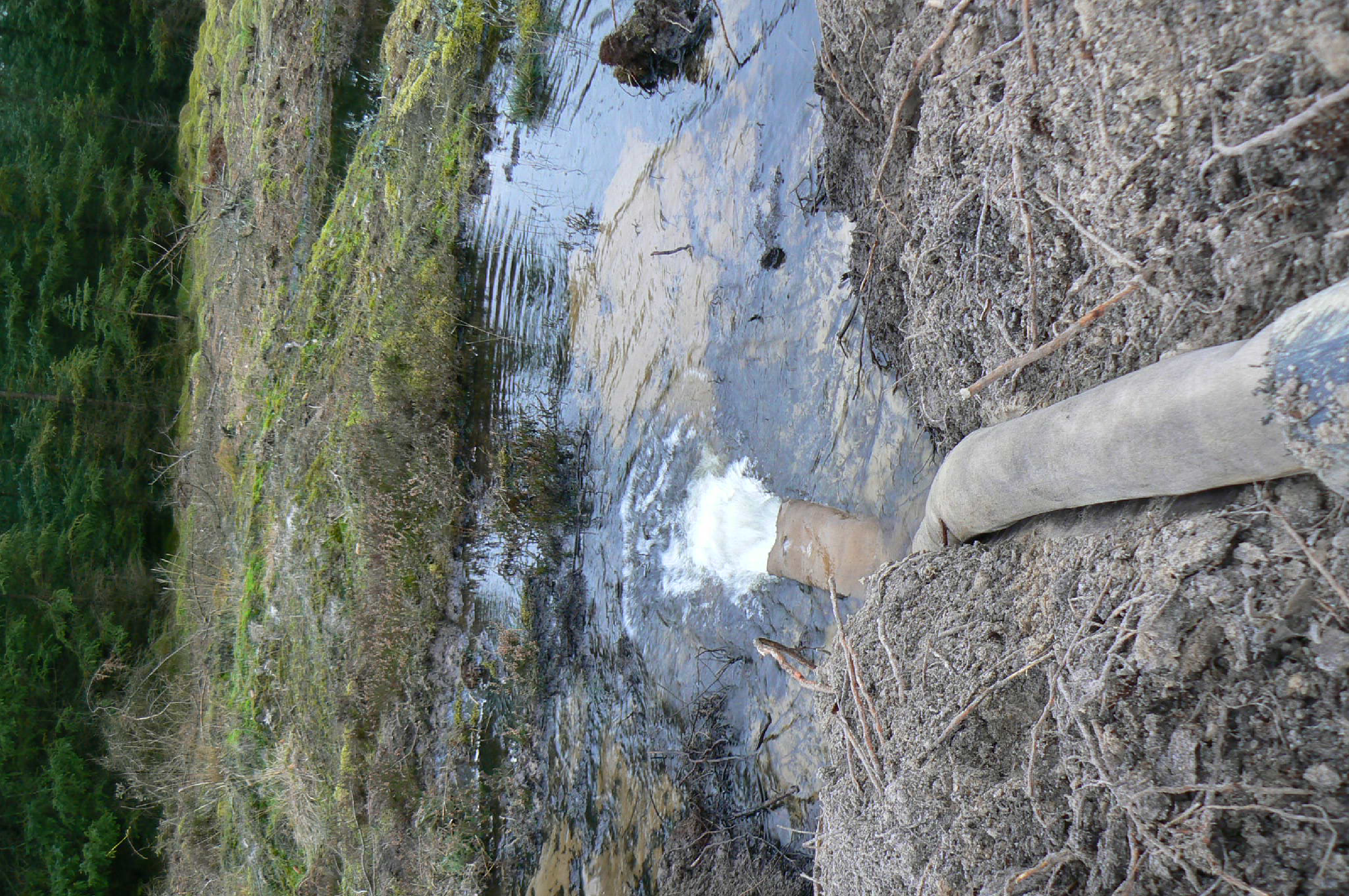 1052374_0001.png