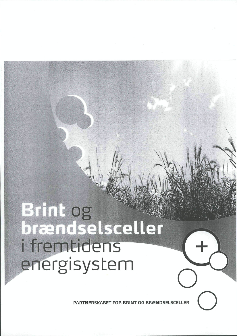 1064117_0002.png