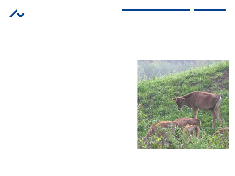 1076179_0003.png