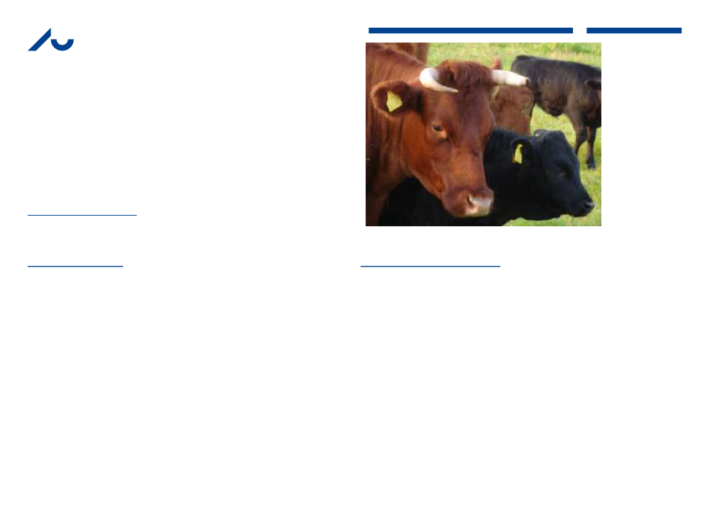 1076179_0016.png
