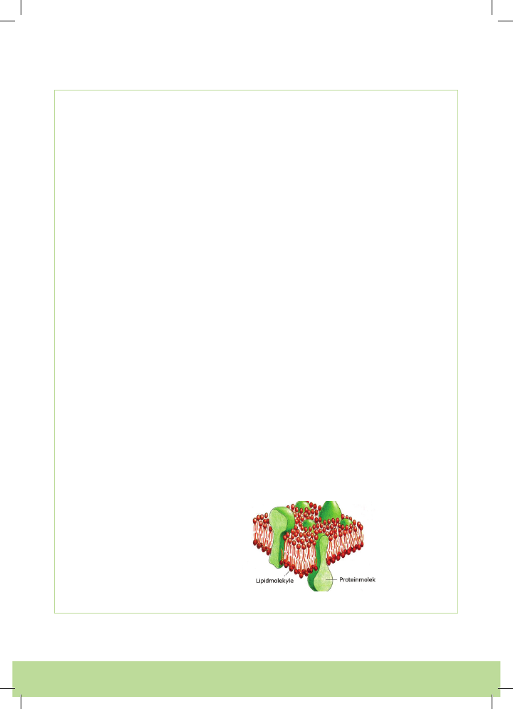 1083655_0021.png