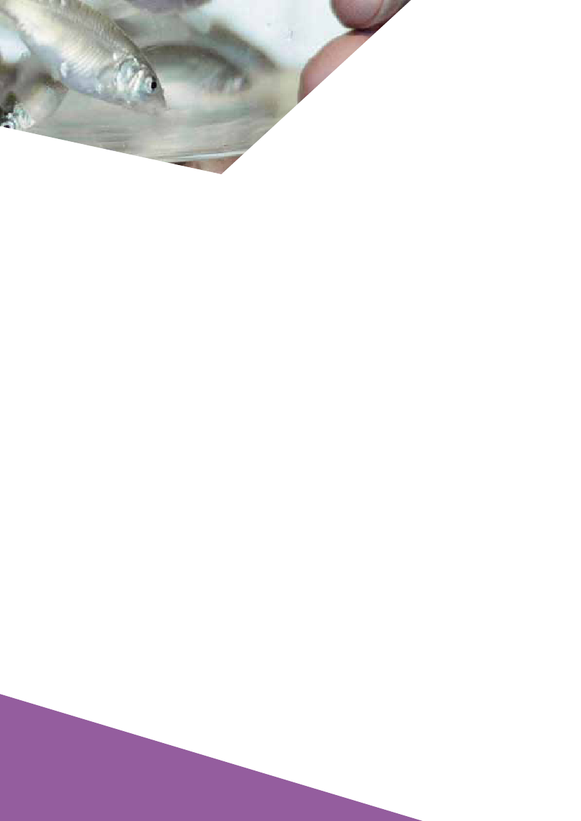 1083753_0063.png