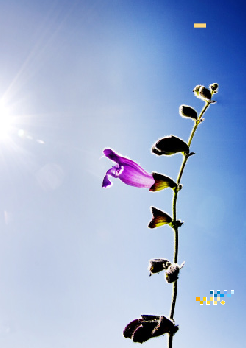 1090858_0001.png
