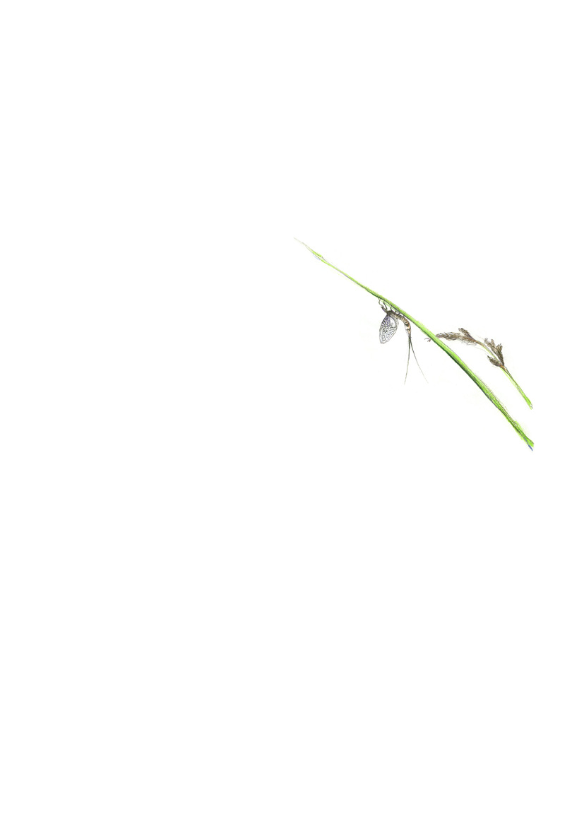 1117399_0002.png
