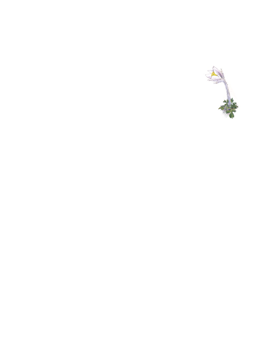 1117399_0006.png