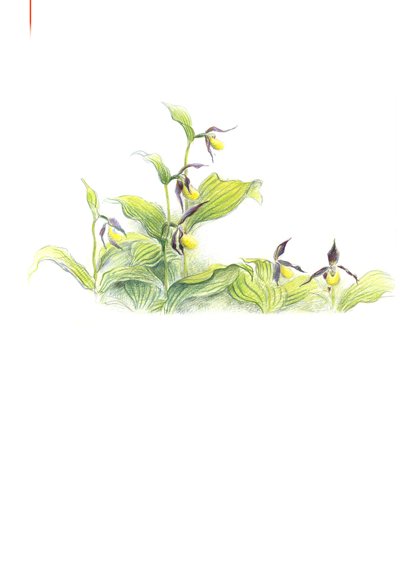 1117399_0011.png