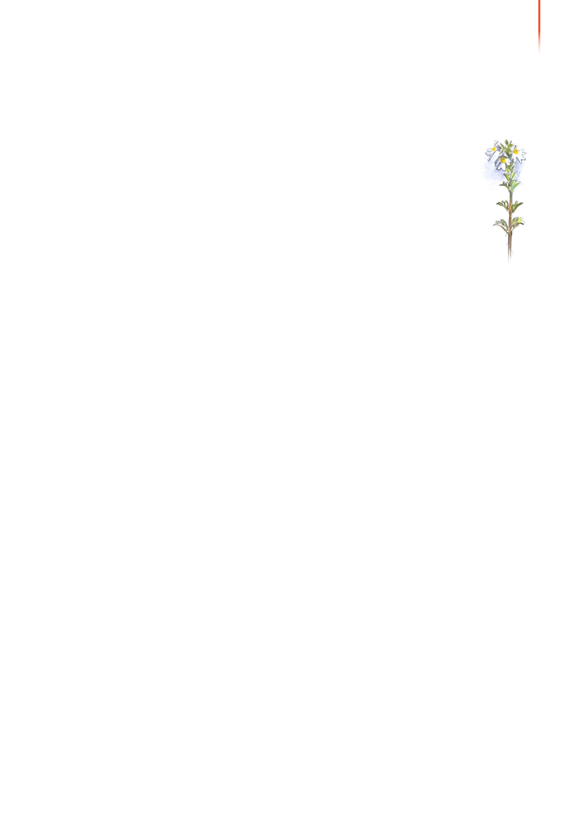 1117399_0016.png