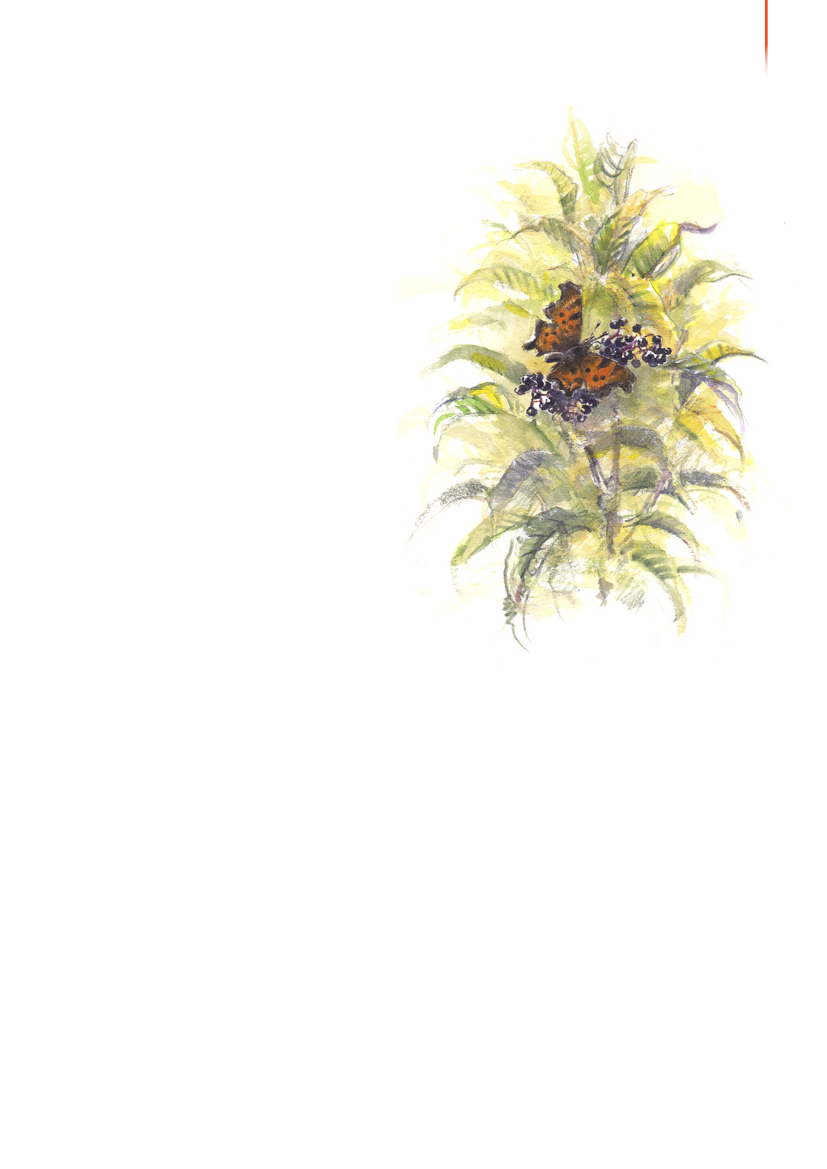 1117399_0018.png