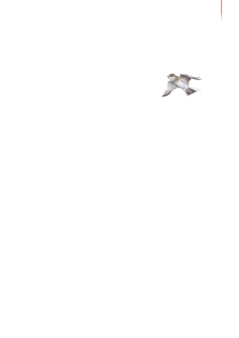 1117399_0020.png