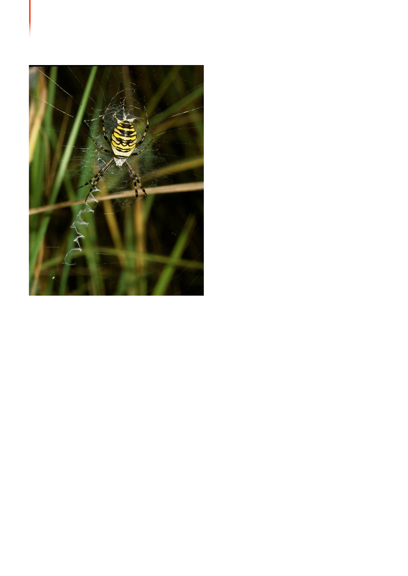 1117399_0025.png