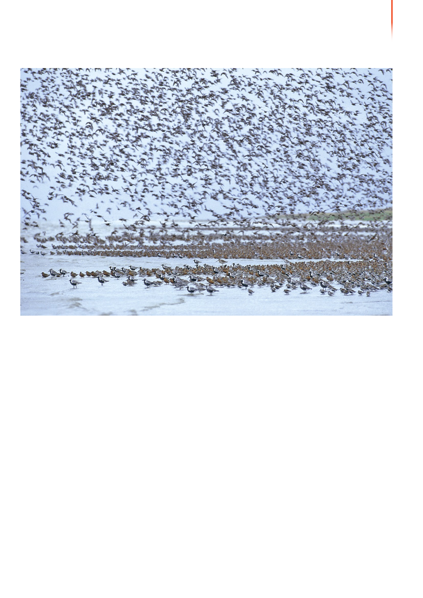 1117399_0026.png