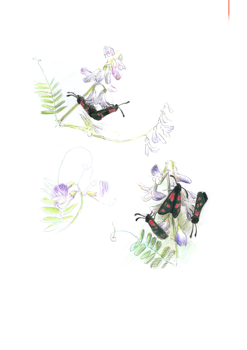 1117399_0028.png