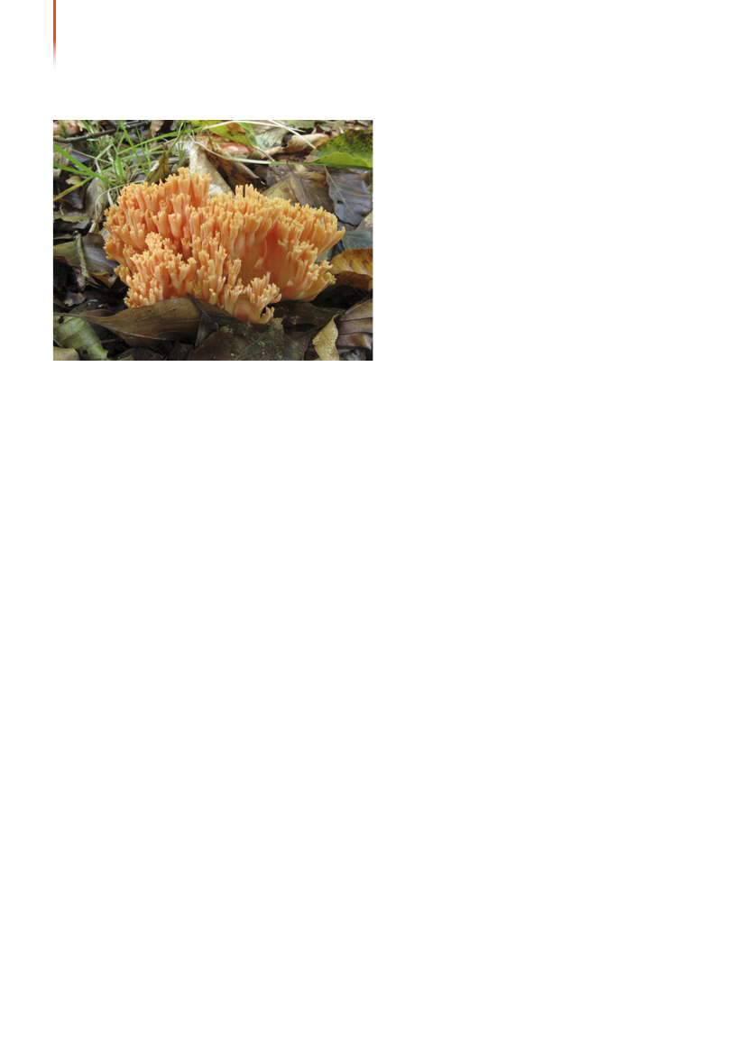 1117399_0033.png