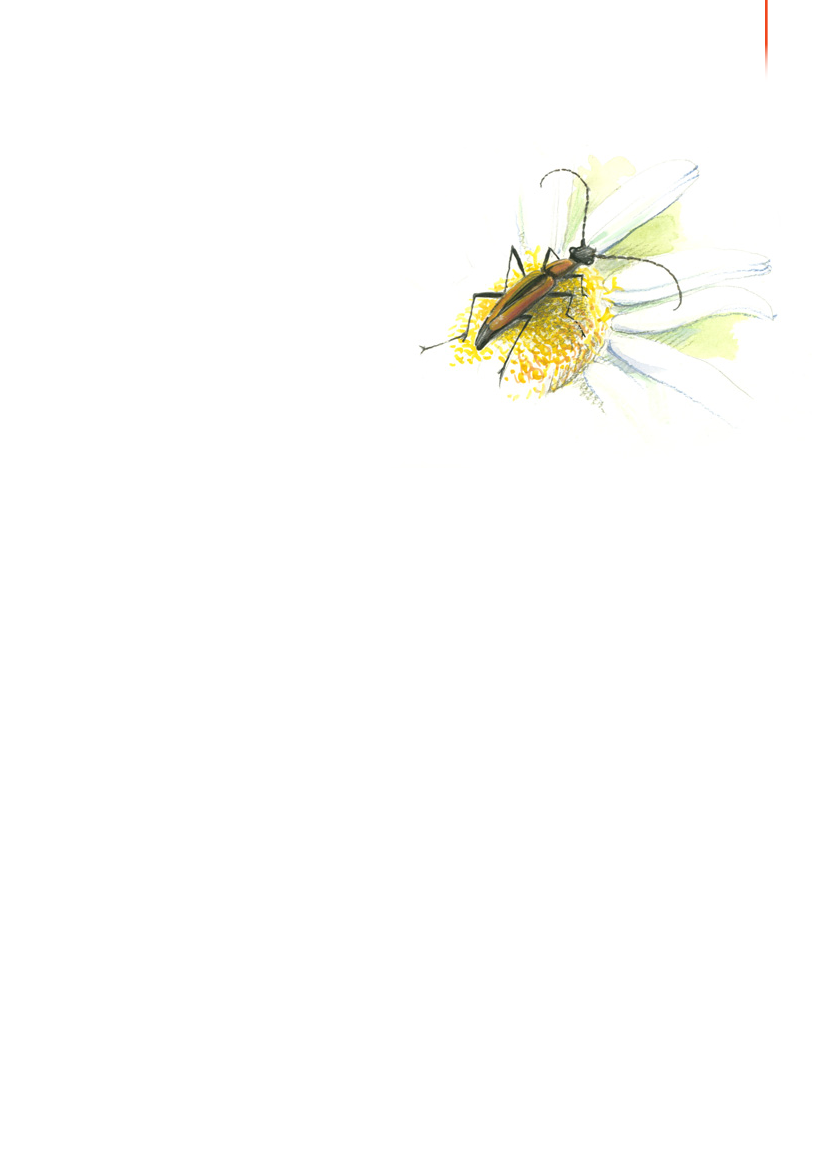 1117399_0034.png