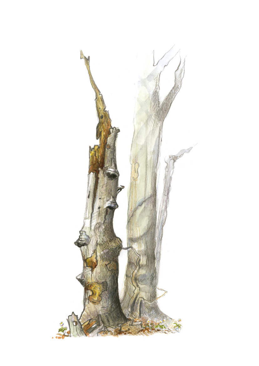1117399_0035.png