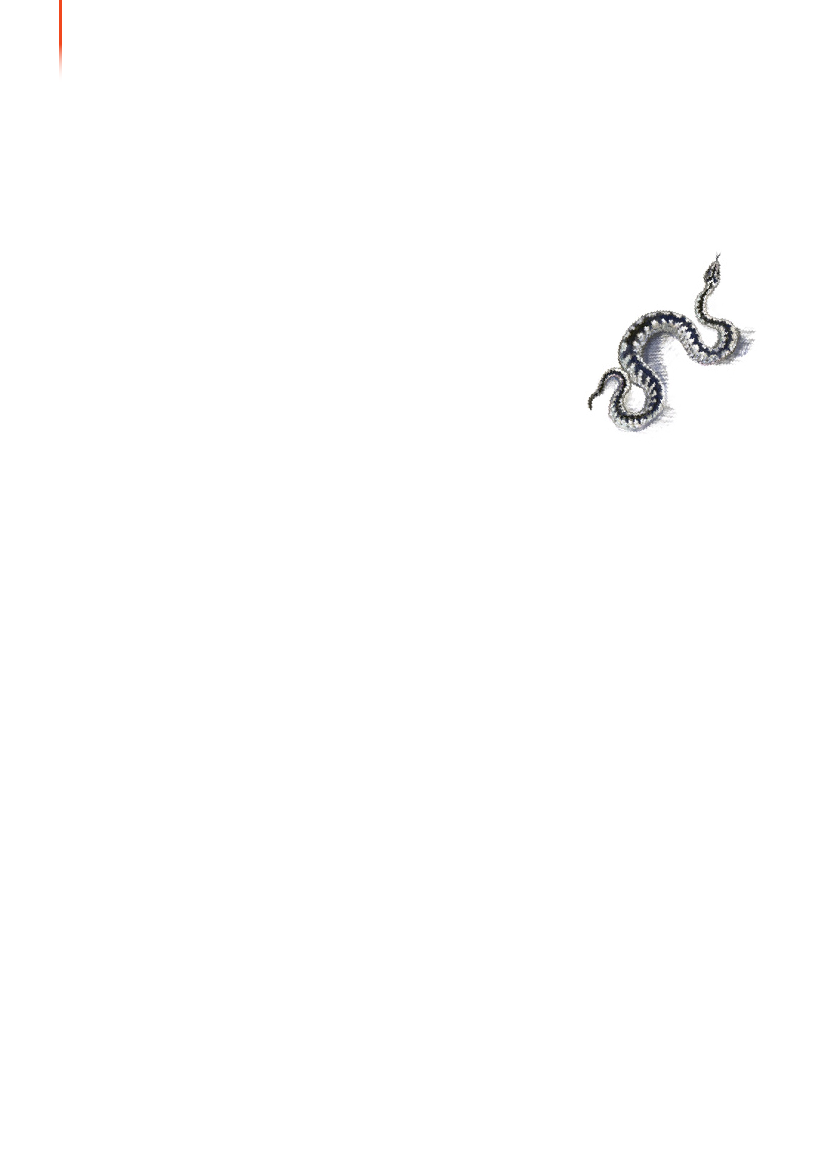 1117399_0041.png