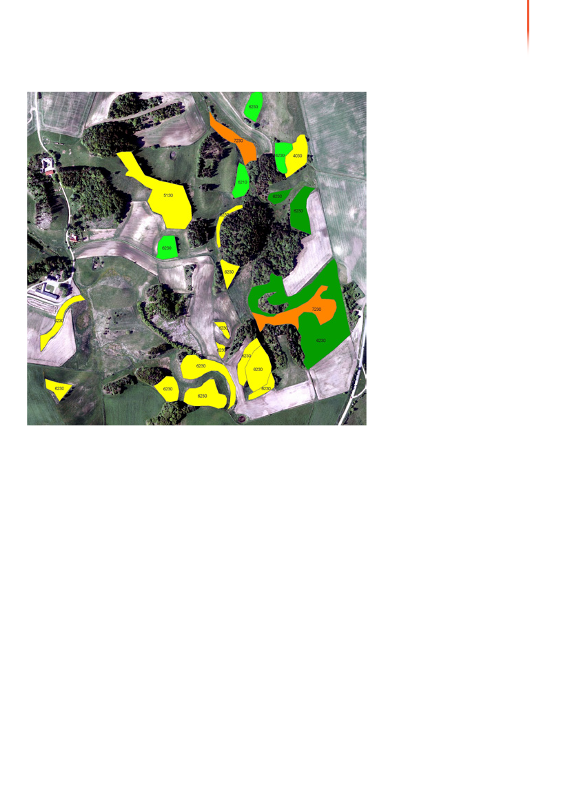 1117399_0042.png