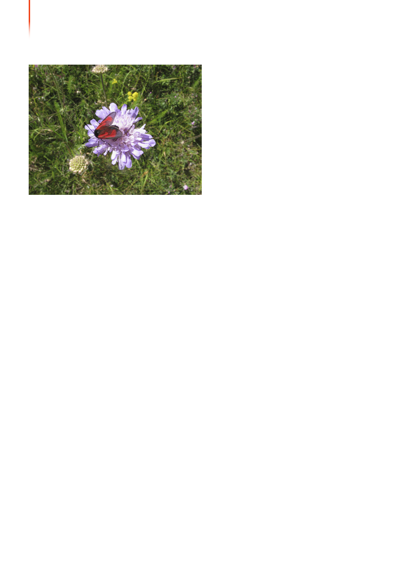 1117399_0043.png
