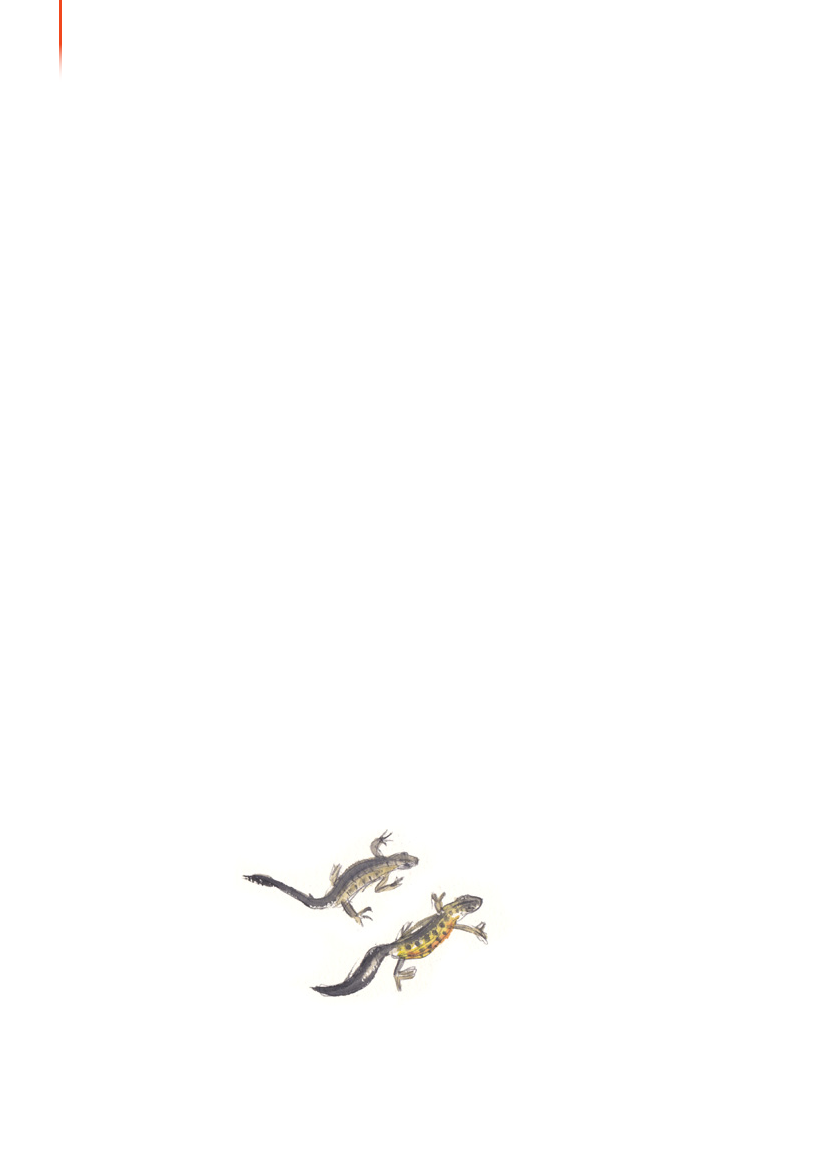 1117399_0045.png