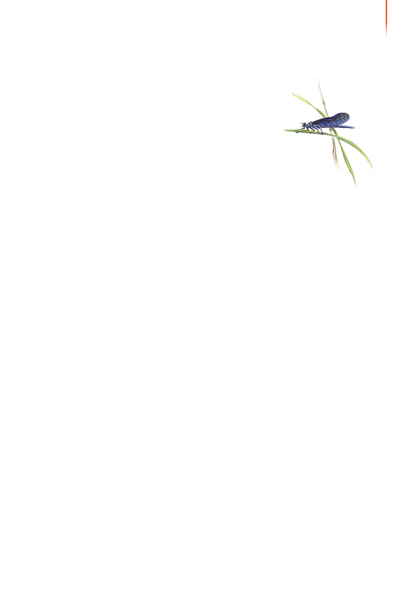 1117399_0046.png