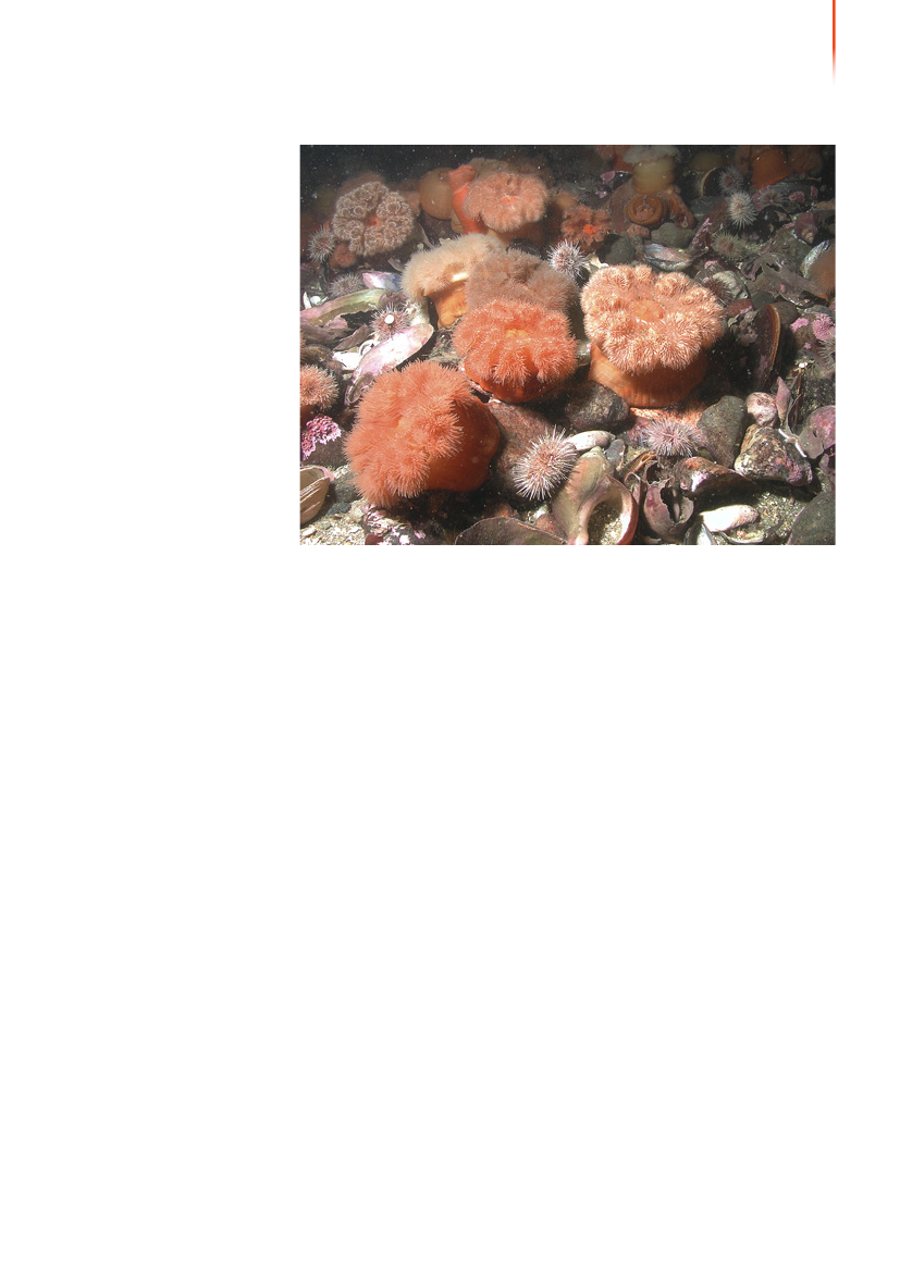 1117399_0064.png