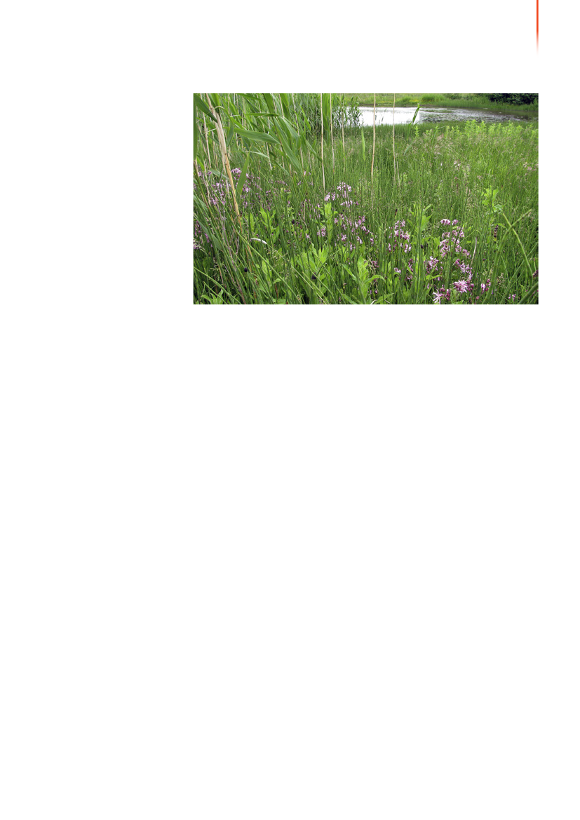 1117399_0070.png