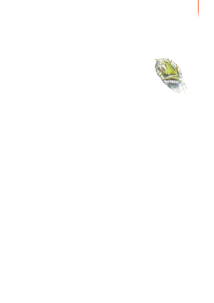 1117399_0072.png
