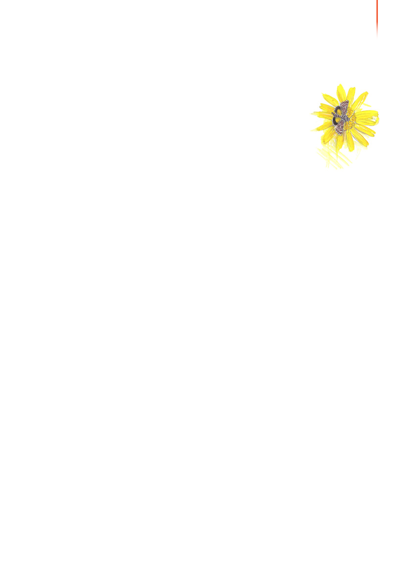 1117399_0078.png