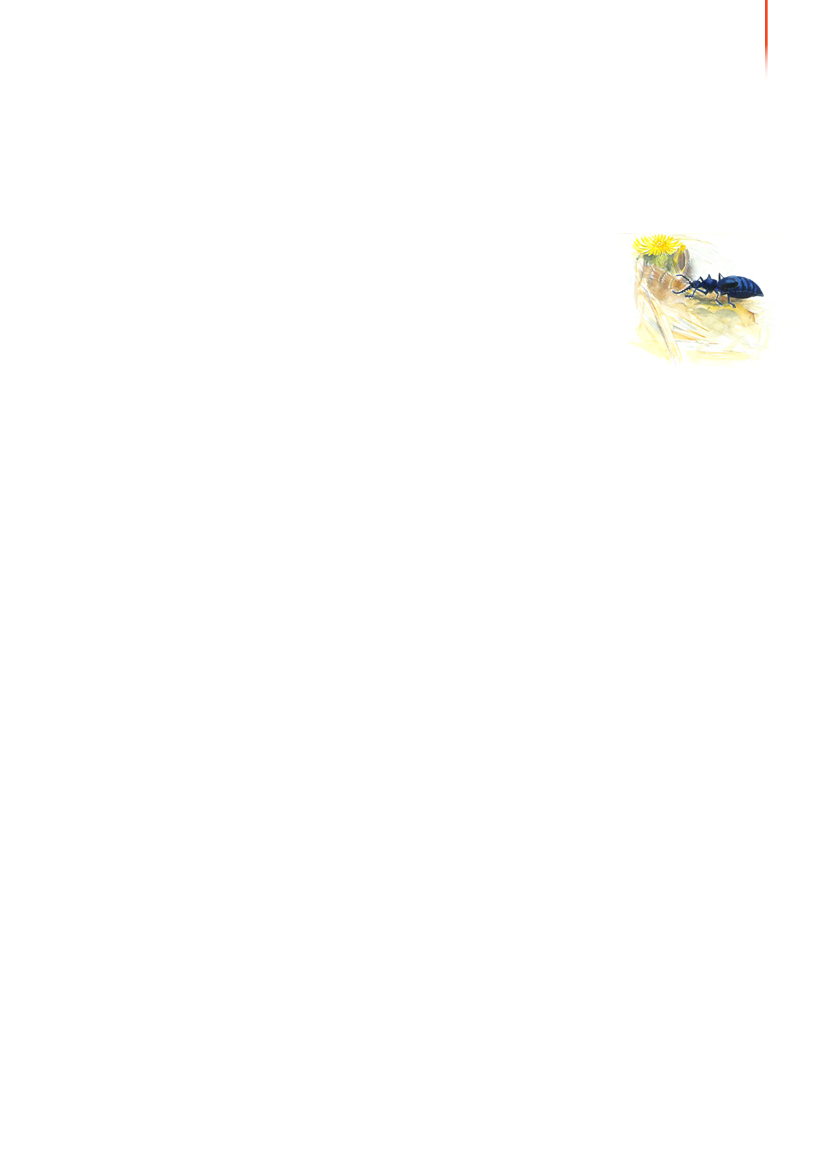 1117399_0088.png