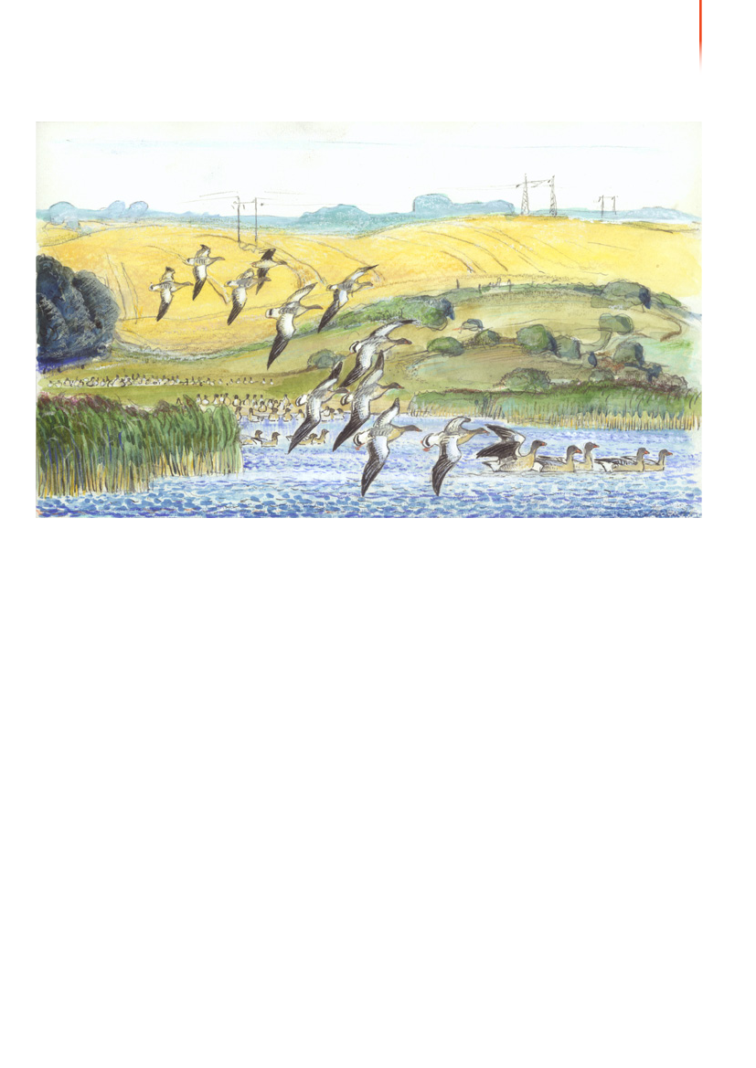 1117399_0090.png