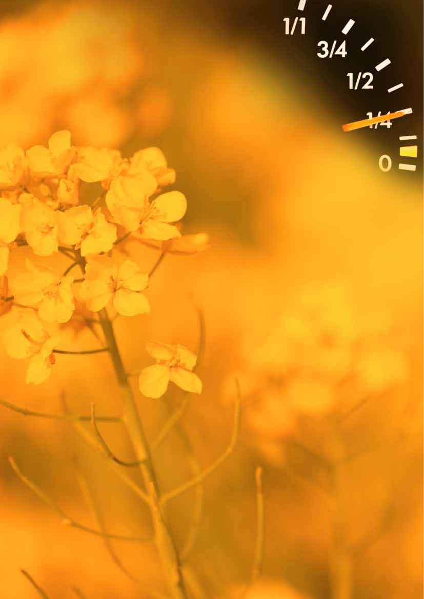 1118664_0008.png