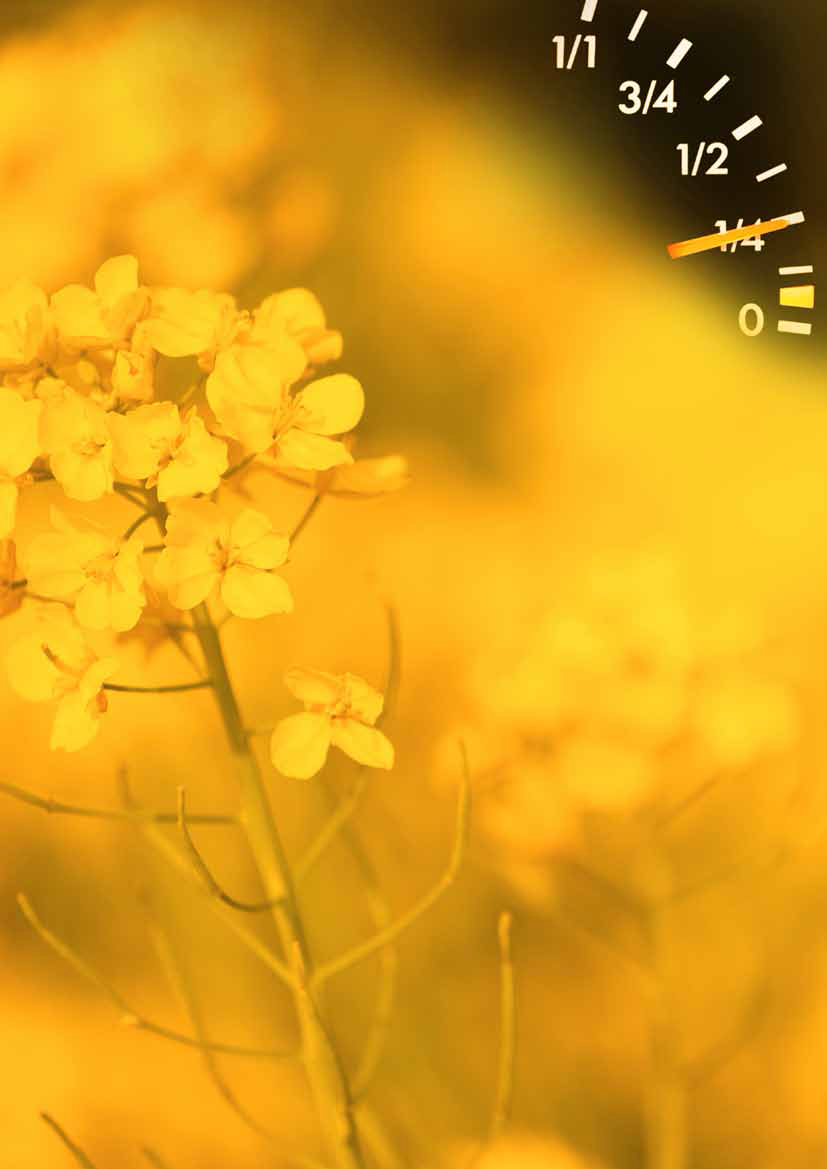 1118664_0096.png